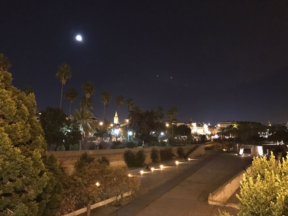 WhatsApp Image 2018-01-03 at 22.44.38