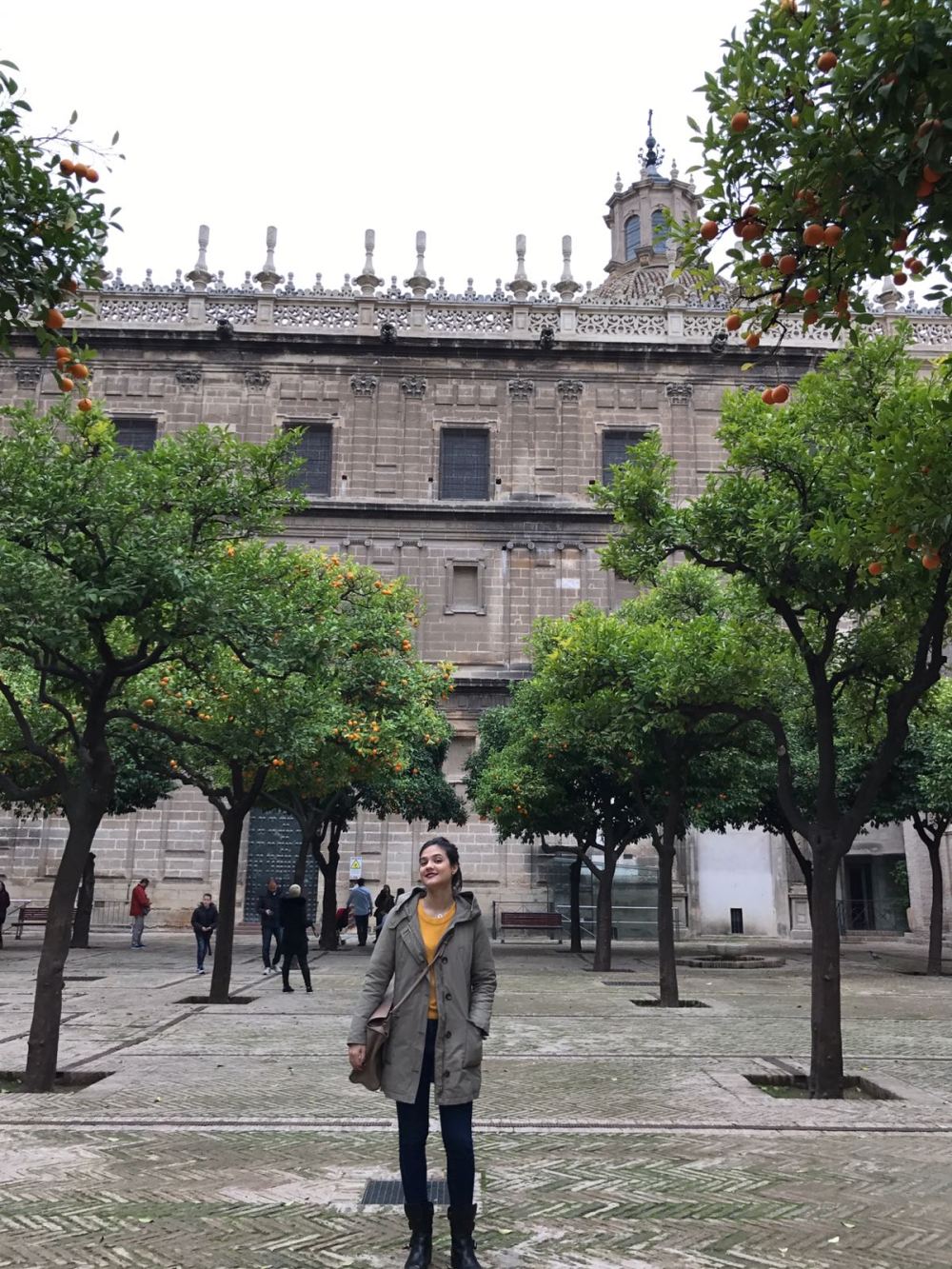 WhatsApp Image 2018-01-04 at 18.38.08 (1)