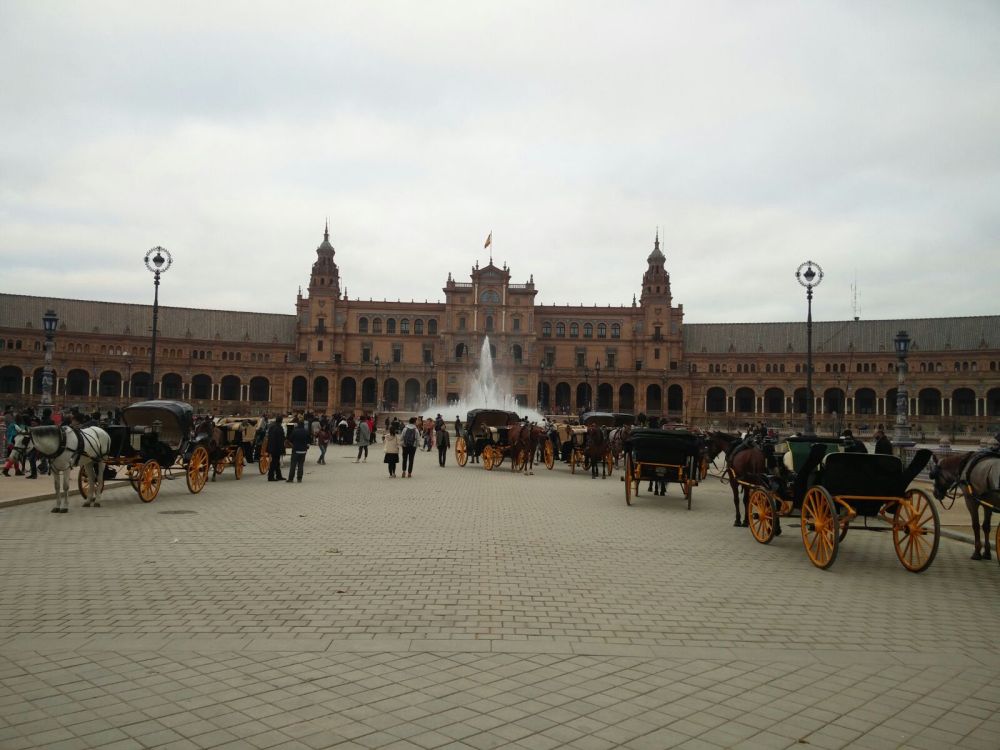 WhatsApp Image 2018-01-04 at 18.48.28