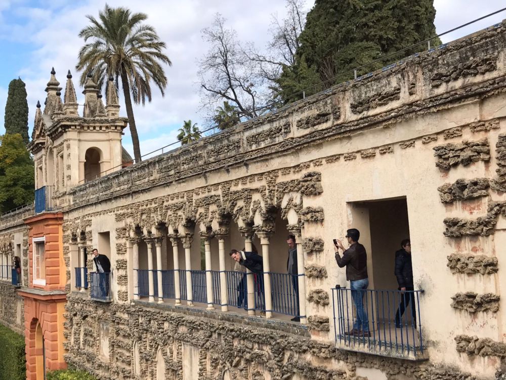 WhatsApp Image 2018-01-05 at 21.03.32