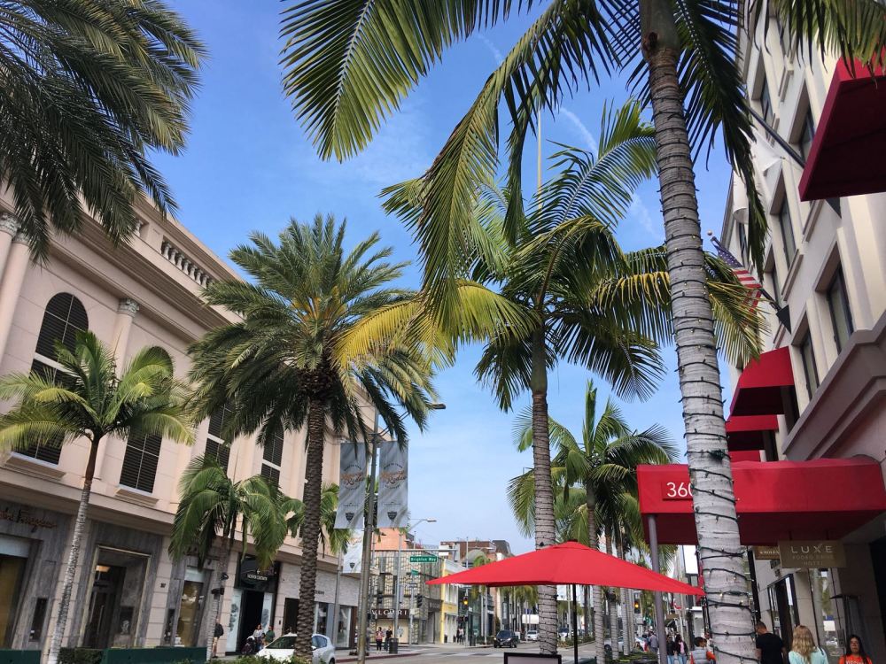 WhatsApp Image 2018-04-03 at 22.10.51 (1)