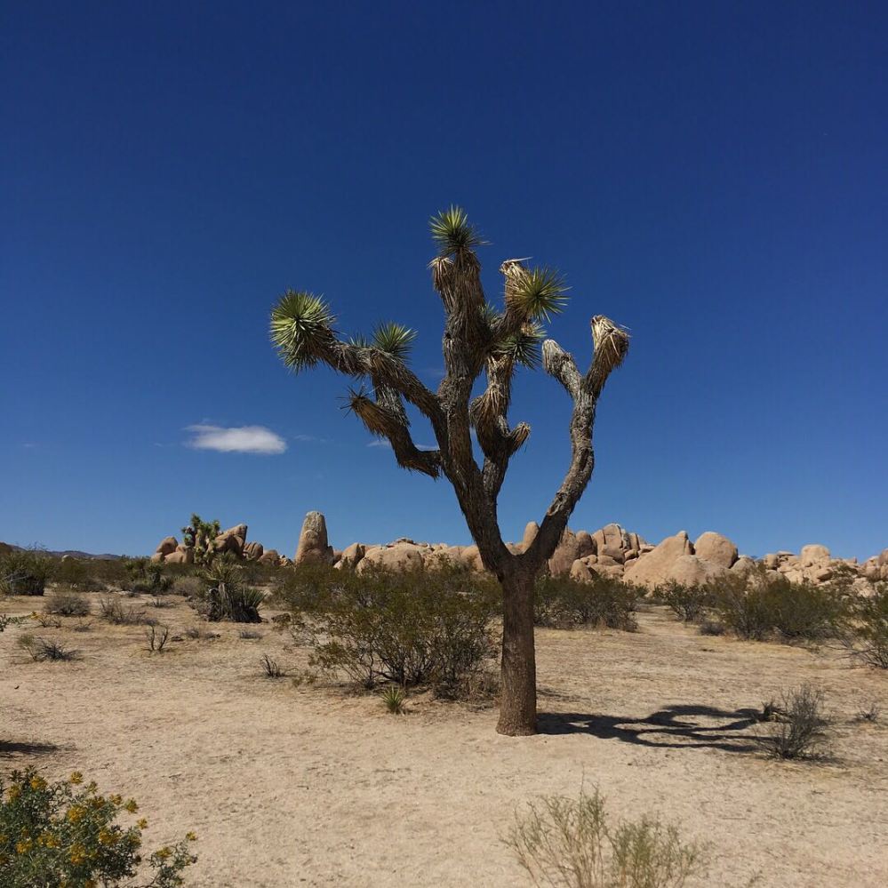 WhatsApp Image 2018-04-03 at 22.17.34