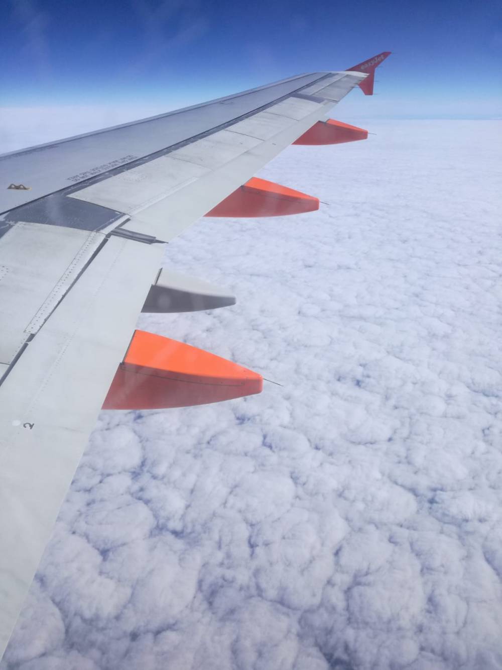 IMG-20190319-WA0005