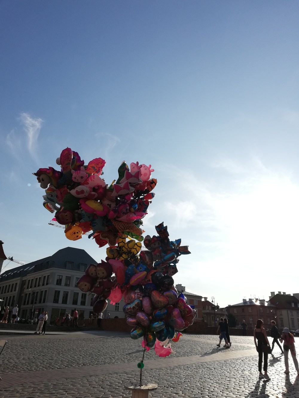 IMG_20190809_175011