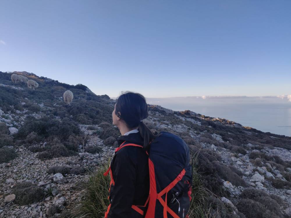 IMG-20191230-WA0020