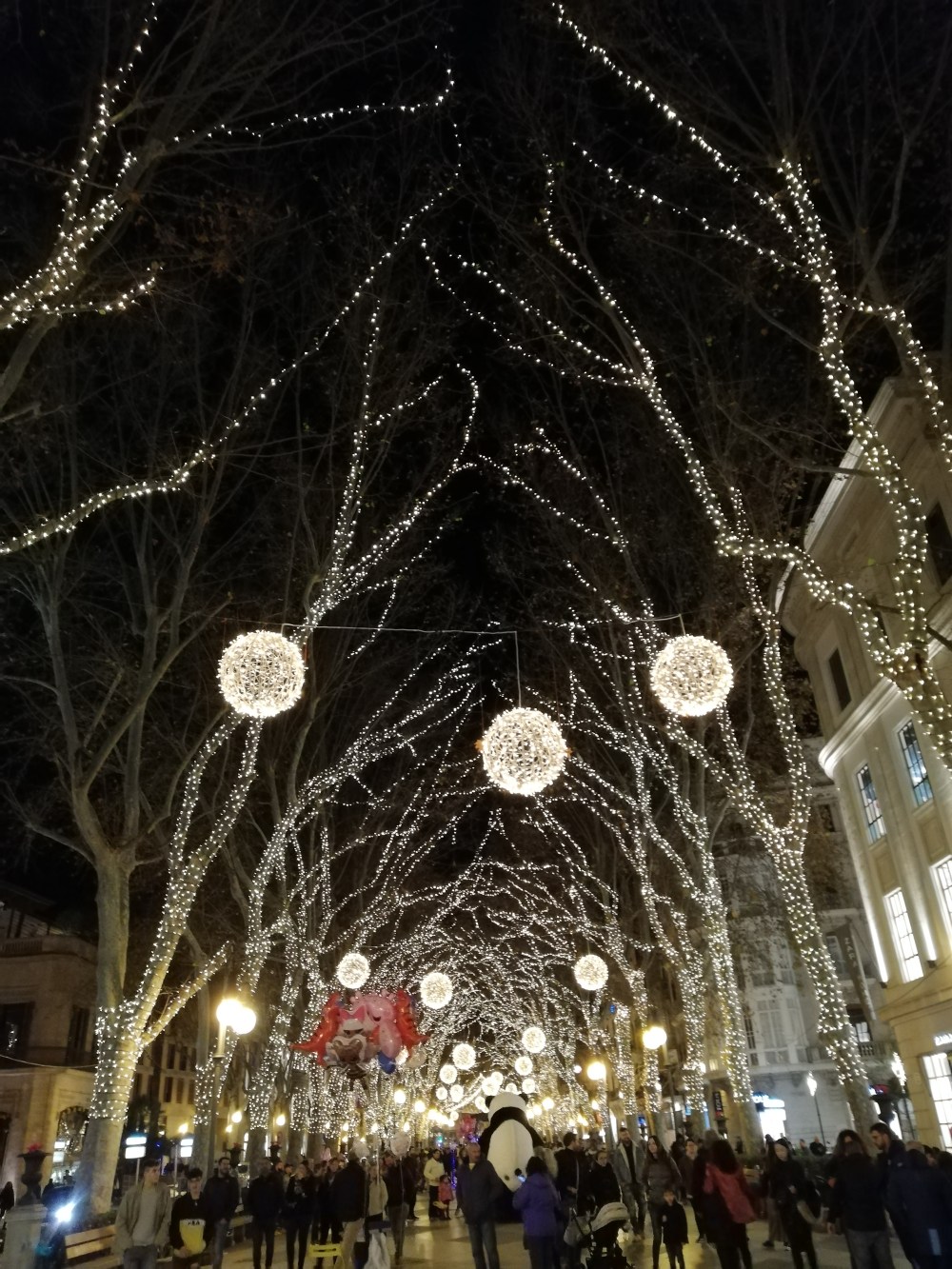IMG_20191229_192823